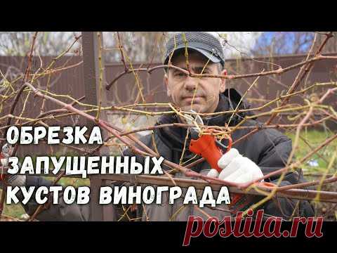 ю