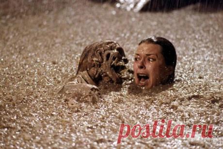 Создатели фильма «Полтергейст» (1982) использовали во время съёмок реальные скелеты, поскольку они оказались дешевле пластиковых.