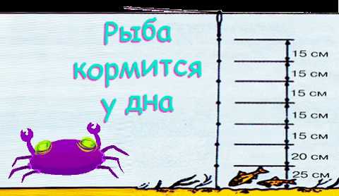 Волшебство поплавка-стик - рыбалка