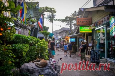 Дни 73-74. Дождит