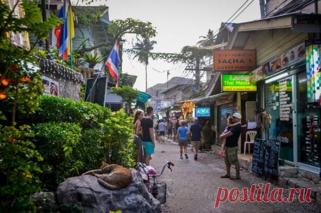 Дни 73-74. Дождит