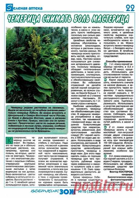 Чемерица снимать боль мастерица