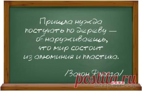 15 ироничных законов жизни, знание которых может оказаться весьма полезным