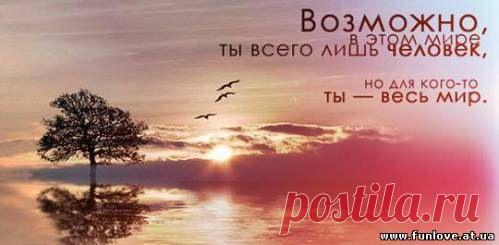 афоризмы в картинках | 165 фотосуреттер