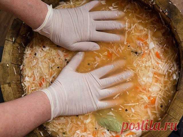 Квасим капусту ! Самые лучшие рецепты