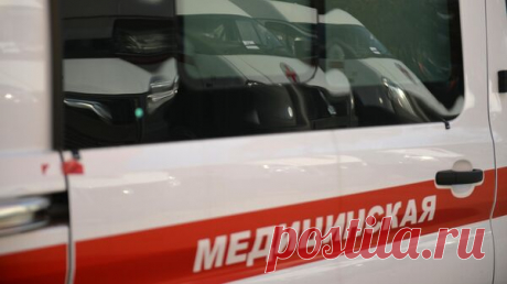 В Пятигорске стая собак напала на беременную женщину