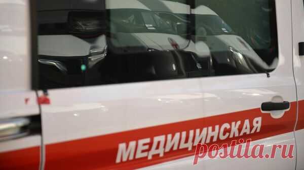В Пятигорске стая собак напала на беременную женщину