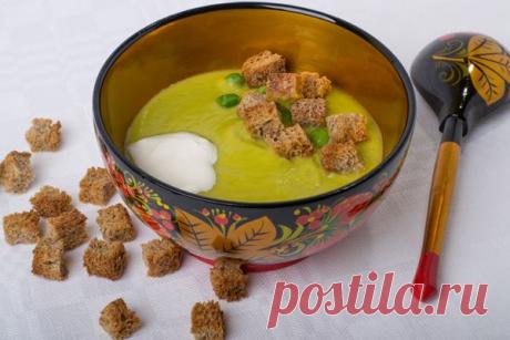 Новости от Камелии