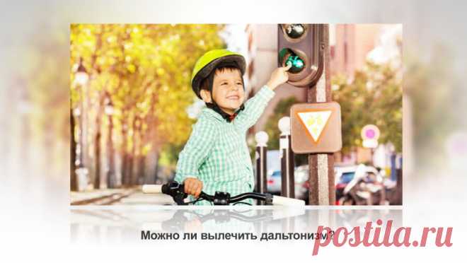 Разбираем тему: Можно ли вылечить дальтонизм? Статья автора «VestiNews.