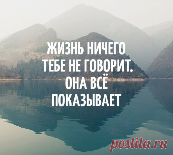 08fffc3eb85c489ce8ddff39026823d5.jpg (600×538)