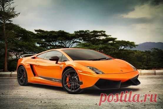 Lamborghini Gallardo LP 570-4 / Только машины