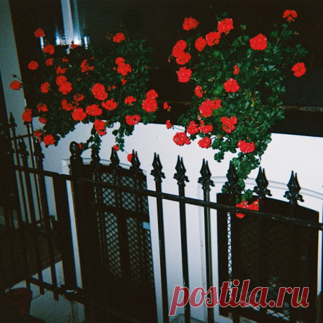 Blood Club - Sufres Porque Quieres (EP) (2025) 320kbps / FLAC