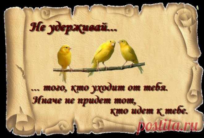 ИНТЕРЬЕР. Полезная площадь (идеи для дома) | Хвастунишка
