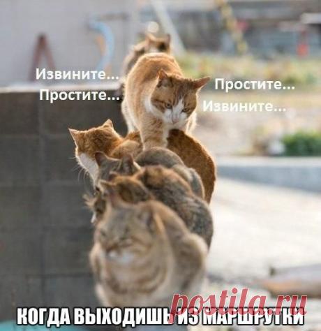 Не грусти, человек!