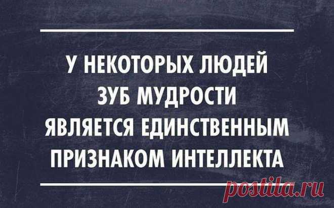 VIP клуб для людей с чувством юмора. Юмор с характером (18+) - Хроника