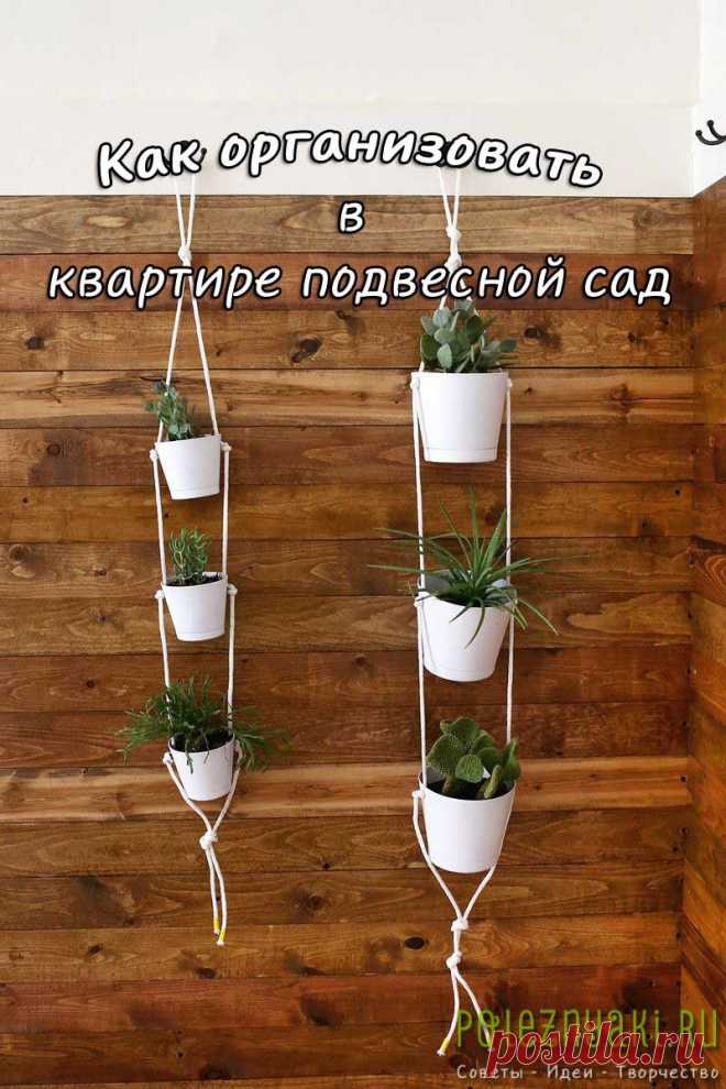 Как организовать в квартире подвесной сад | Полезняки