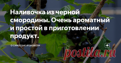 Наливочка из черной смородины. Очень ароматный и простой в приготовлении продукт. Шикарный домашний продукт, который восхитит любую даму, да и мужчины захотят испробовать подобной вкусняшки. Лучше всего по осени такую наливочку делать с запасом. Если у вас есть кусты смородины на даче или у дома ,то скорее всего этих ягод у вас  в великом достатке. И часто их съедают птицы. Но не стоит пропадать такому ароматному продукту, из него можно получить восхитительные алкогольные ...