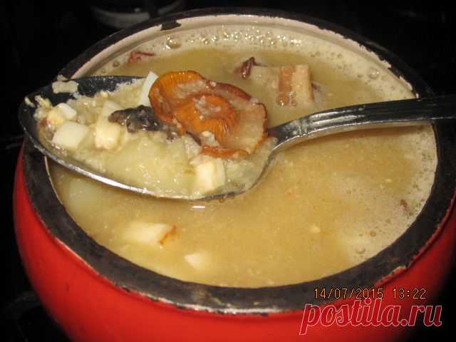 Самый вкусный грибной суп с пшеном | Давай поговорим
