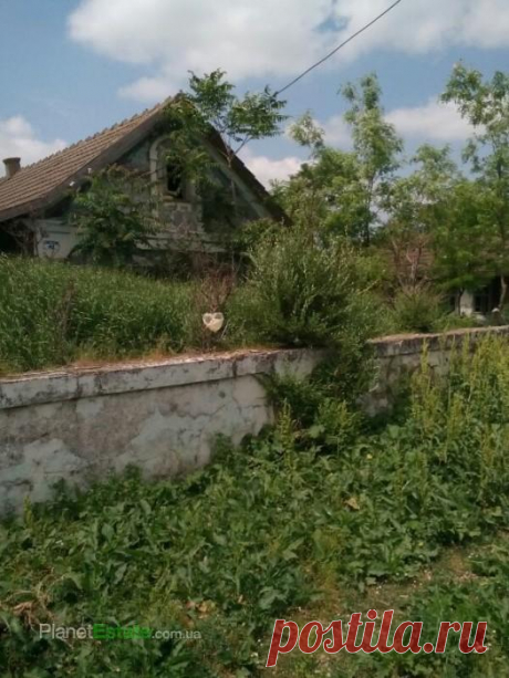 PlanetEstate - вулиця Волынова
