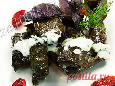 Долма из баранины фото рецепт