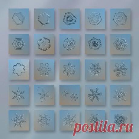 (84) Алексей Мишин - Алексей Мишин добавил новое фото.