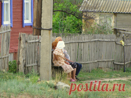 Нет работы в деревне? Да ты, батенька, просто лентяй!.. | Предпоследний Приют | Яндекс Дзен