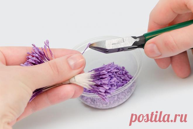 Полевой цветок Вероника « Керамическая флористика. Цветы из холодного фарфора. Уроки и мастер-классы