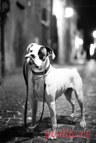 У Вселенной нет сюрпризов для нетерпеливых.