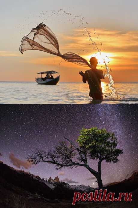 National Geographic: лучшие фото июня 2013