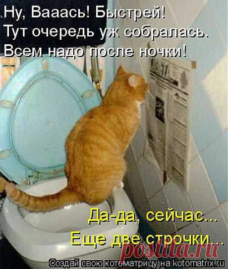 kotomatritsa_1z.jpg (Изображение JPEG, 408 × 480 пикселов)