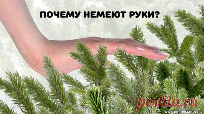 Почему немеют руки: 9 причин онемения и покалывания в разных частях тела 

Бывает иногда, что немеют руки, ноги или другие части тела.

Часто это является последствием длительного нахождения в неправильной позиции, но за этим синдромом могут стоять некоторые расстройства.
