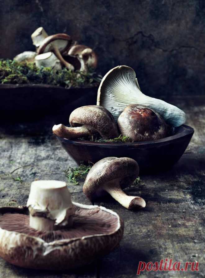 6 вкуснейших рецептов засолки грибов