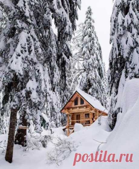 Домик в лесу