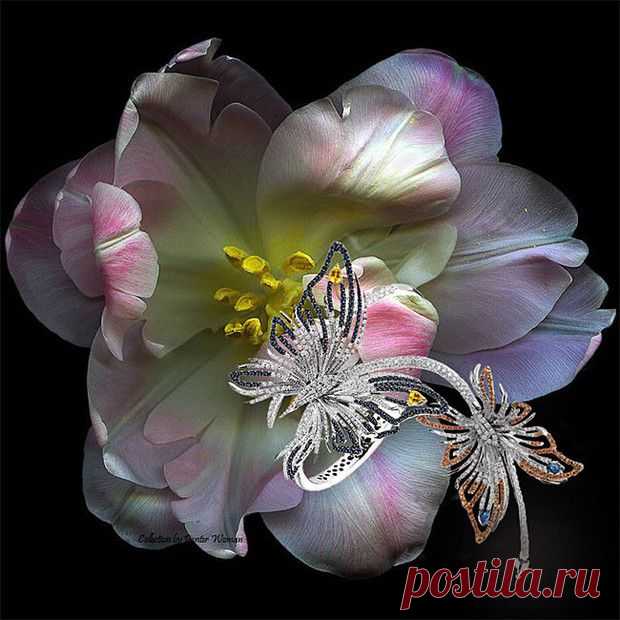Ювелирные чудеса мастеров дизайна