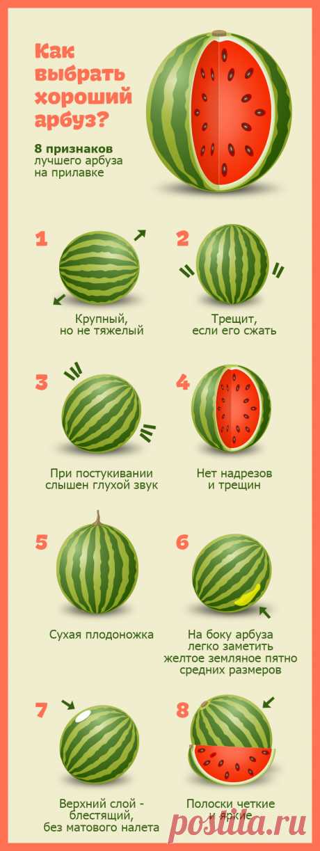 Как выбрать хороший арбуз