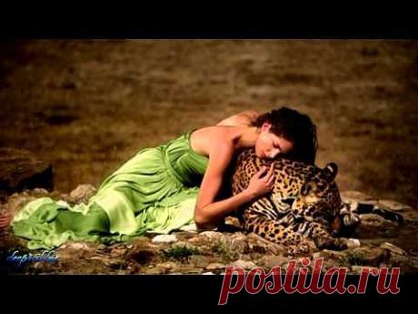 Самое красивое видео...