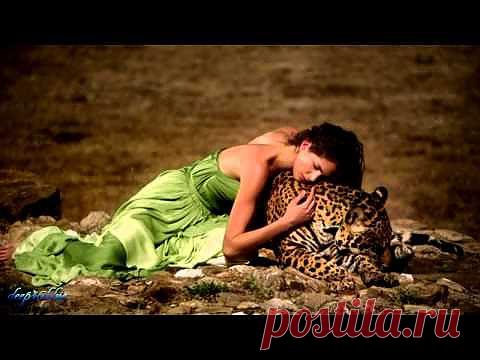 Самое красивое видео...