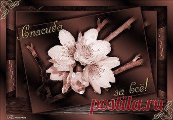 Открытки спасибо за ... дружбу, доброе сердце, поздравления - cтраница 7