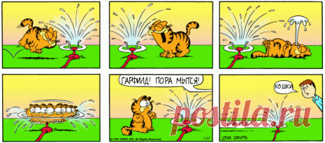 1980-07-27