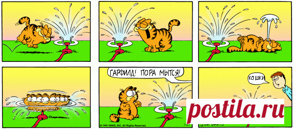 1980-07-27