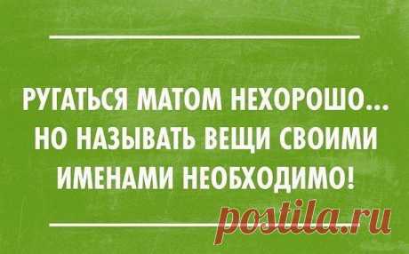 (12) Одноклассники