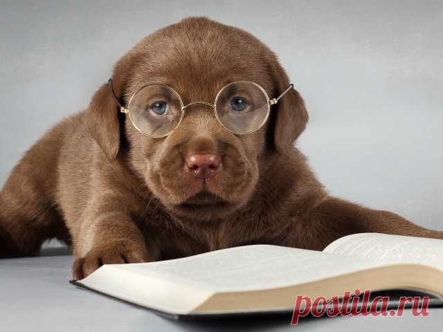 a17866fb8e8b37964b59f3698f89a0d1.jpg (640×480)