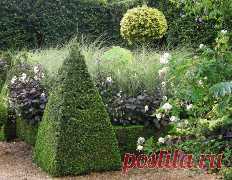 Злаковые для украшения участка | 6 соток