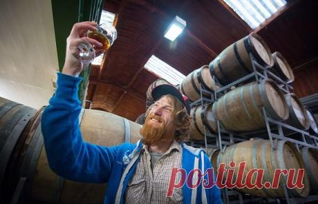 Количество пивоварен в Ирландии увеличилось в пять раз за пять лет | В мире