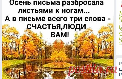 [14.11.2018 21:52] Наталья Соломаткина:    Однажды на рассвете, утром рано 

Мне в дверь тихонько кто-то постучал. 

Я дверь открыла: «Счастье?.. Так нежданно..» 

«Я просто в гости. Завтракать. На чай!» 



Оставив у порога два ботинка, 

Протопало на кухню через холл. 

Достало аккуратно из корзинки 

Пирог горячий. «Ну, садись за стол!» 



И в доме стало радостно, уютно. 

Ведь счастье перешло его порог. 

Не каждому приносят ранним утром 

Красивый, вкусный, праздничн...