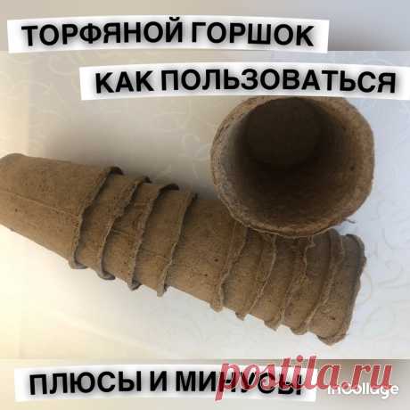 Торфяной горшок для рассады как пользоваться