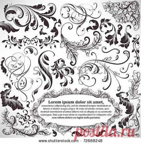 Vector Set: Calligraphic Design Elements And Page Decoration - Lots Of Useful Elements To Embellish Your Layout - 72668248 : Shutterstock