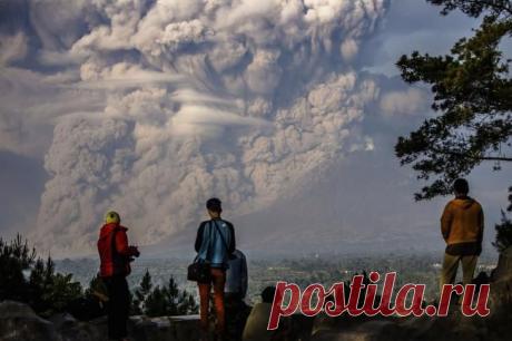 20 ярких фотографий января 2015