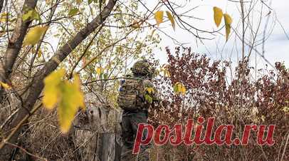 Кимаковский: ВСУ сжигают тела погибших в Кировске солдат. Украинские боевики сжигают тела военнослужащих, погибших в Кировске. Читать далее