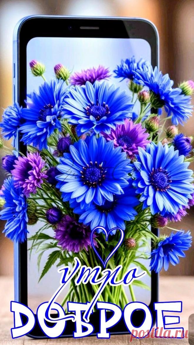 С добрым утром Привет Здрасте